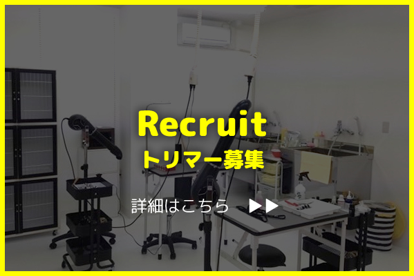 Recruit トリマー募集